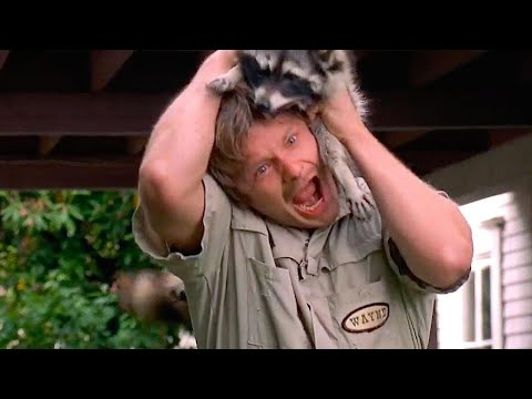 Animal Funny fails