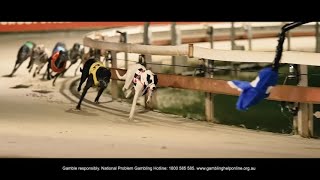 The Dogs Double - July 7