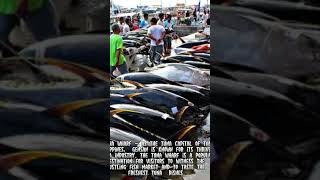 Top 5 PLACES to visit in GENERAL SANTOS CITY, PHILIPPINES #travelvlog #shorts #gensan #philippines