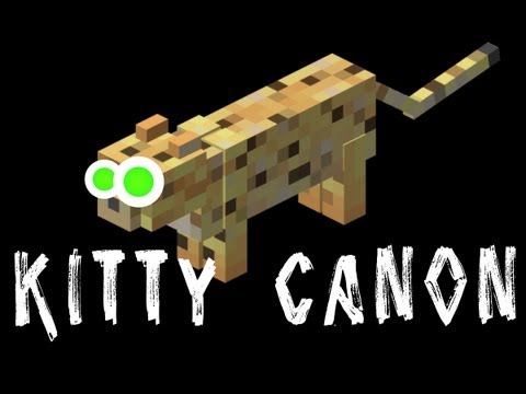 Minecraft "Kitty Canon" HD