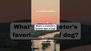 Fresh Brewed Fun 48 - puns and jokes tailored for the marketing and web development world.