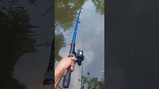 Fishing Technique #Fishing #technique