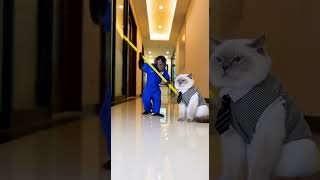They Took This Job TOO Seriously #MonkeyCat#FunnyAnimals#WorkFail#ViralShorts#SoraAI#AIComedy