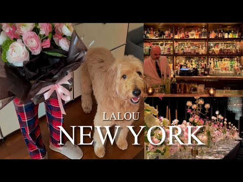 [Sub] NYC Vlog | 뉴욕 브이로그 | 뉴욕 로컬 칵테일바 | 강아지와 함께 뉴욕 | 뉴욕에서 서울 | JAL 비지니스 | 서울 맛집 | 서울 그릇 쇼핑 | 조은숙 갤러리
