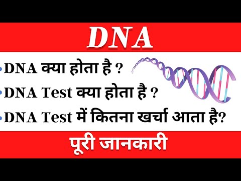 DNA क्या होता है? DNA TEST कैसे किया जाता है? कितना खर्चा आता है? पूरी जानकारी!