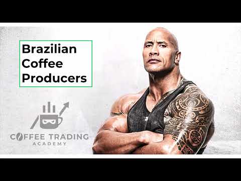 Brazil Coffee Market with Thiago Cazarini - Part 2