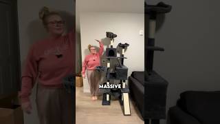 I Bought the BIGGEST Cat Tree!! 🐈