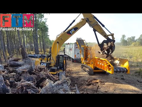 Incredible Dangerous Fastest Cutting Tree Machines, Extreme Dangerous Large Excavator Destroy Stump
