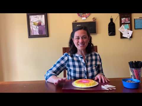 Paper Plate Counting Project