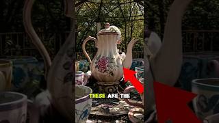 Top 5 Creepiest Abandoned Amusement Parks That Will Haunt You #AbandonedAmusementParks #CreepyPlaces