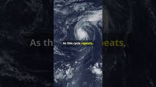 What Causes Typhoons? 🌪️ The Science Explained! #Typhoons #facts #science explained