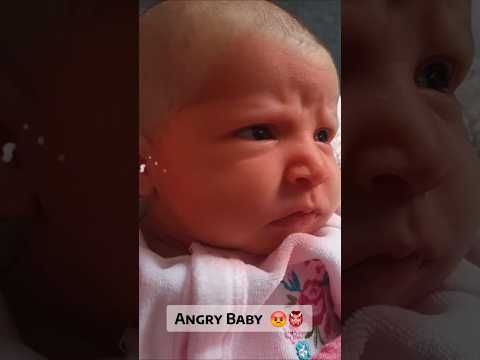 Baby Wolf #angrybaby  #passobemsolto #newbornbaby