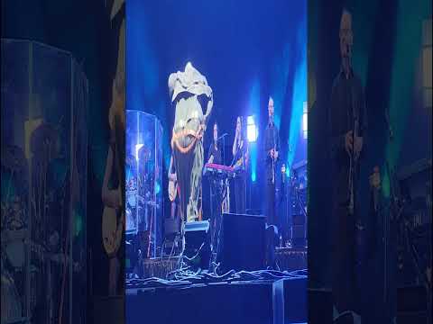 Fat Weird Al Live Oak Pavilion