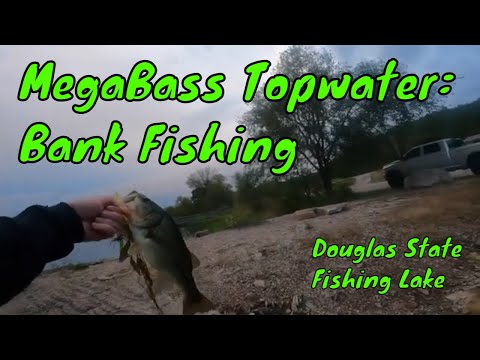 Bank Fishing: MegaBass Dog-X Diamante - Fall Topwater