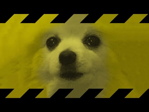 SAFETY BORK