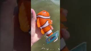 The BEST & WORST Fidgets to Bring to the Ocean! 🌊🦀