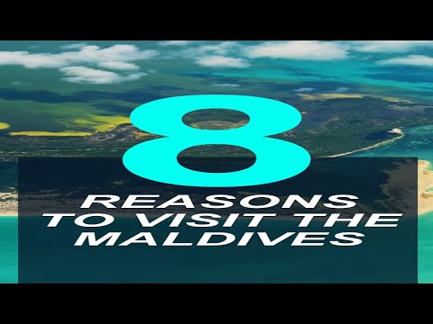 Why the Maldives is on Our Vacation Radar! 🏖 🌊 ☀️ #Shorts #Short #Maldives #Travel