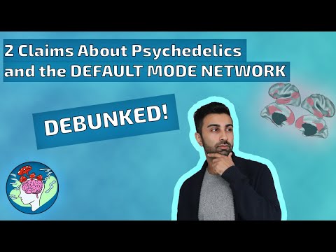 Psychedelics Don’t Silence the Default Mode Network? Two Claims Debunked
