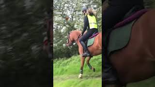 Hack🤎#equestrian #horses#equine #horseriding#pony#new #fypシ#lemieux#views #hackingout #trailride