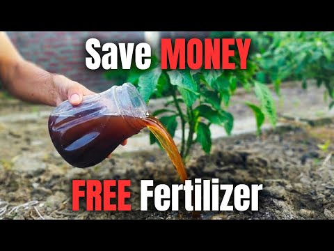 Your "Weeds" Are a Free Fertilizer Worth $100 — The Chemical Industry Doesn't Want This