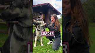 How to become a good leader? #LeadTheWay #ErasmusPlus