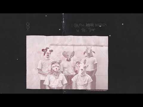 Liily - The Weather [Official Audio]