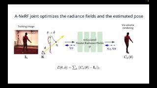 A-NeRF: Articulated Neural Radiance Fields for Learning Human Shape, Appearance, and Pose