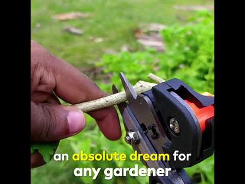 SplitMatted Professional Grafting Tool
