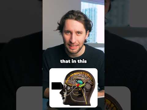 Anxiety Explained: The Science of Your Fear