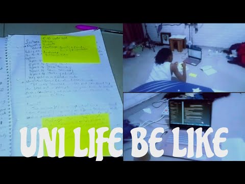 Pulling an All-Nighter to Write a 9-Page Assignment | Realistic Student Vlog