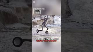 Deep Robotics Lynx 😲 all-terrain robot that’s totally insane 🤯 #deeprobotics #funkykit