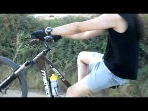 Caballito Camino alvaroheavy (1/2)