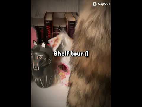 Shelf tour :D #yippee #therian #fyp