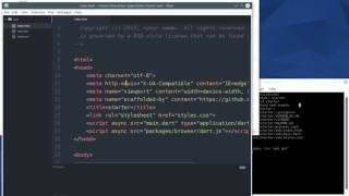Dart Web Programming for Beginners:  35 Stagehand