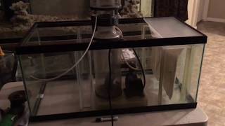 DIY saltwater aquarium Sump Build