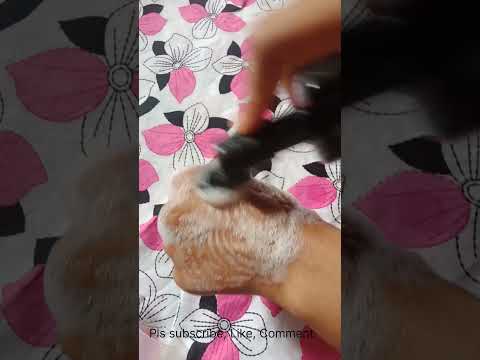 #Tanremovalfacewash#wowfacewash #onlineshopping