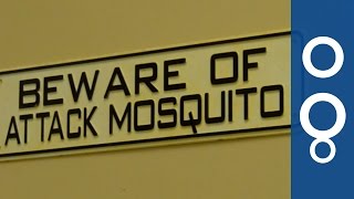 Kill Mosquitoes To Kill Malaria - Futuris