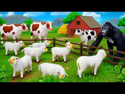 Gorilla Helps Mother Sheep Find Missing Baby 🦍🐑 Funny Animals Adventure