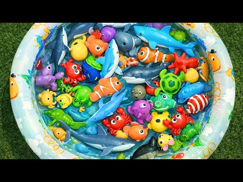 Discover Sea Animals 🐠 | Learn Names & Fun Facts with Ocean Toys
