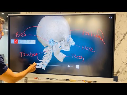 BOE smart Screen for Smart Classroom #boe #smartboard #smartschool #smartclasses #touchscreen #new