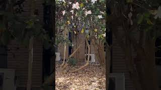 Spring is here🌷🌸🍂 #SpringVibes and enjoy the gentle warmth of #SpringTime