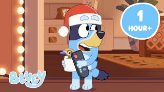 🔴LIVE: Bluey's Countdown to Christmas 🎅 ✨ | Festive Moments, and More! | Bluey
