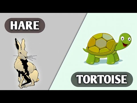Are you a HARE or a TORTOISE? | Personality Test