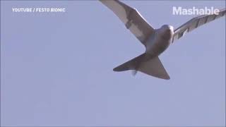 V58- AI for Robotics