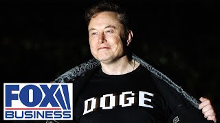 Elon Musk believes DOGE 'was a little bit successful'