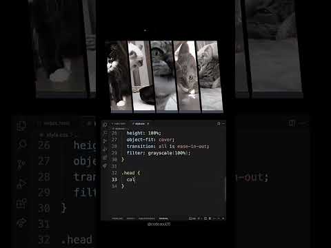 Simple html & css design | CODE & SOUL | #coding #html #css #code&soul #programming