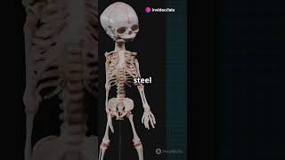 5 Crazy Human Body Facts You Won’t Believe! 🤯 #shorts  #hiddentruths #facts #space