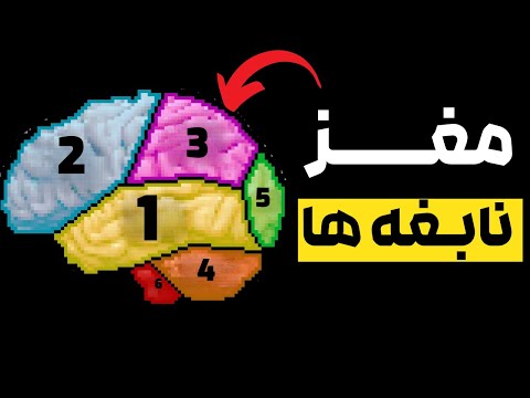 ۶ مرحله‌ی مهم درس خوندن که هیچ‌کس بهمون یاد نداده