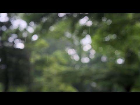 Budai-Szabó Krisztina - Elhiszem (Lauren Daigle - You Say cover) - Szöveges Videó