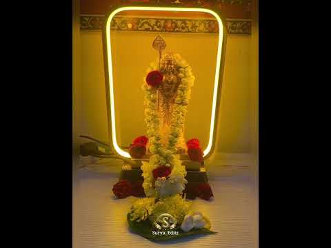 காலைவணக்கம்🌞💫